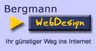 bergmann-logo